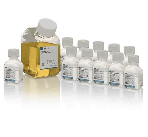 lv max transfection kit|Lv max serum free.